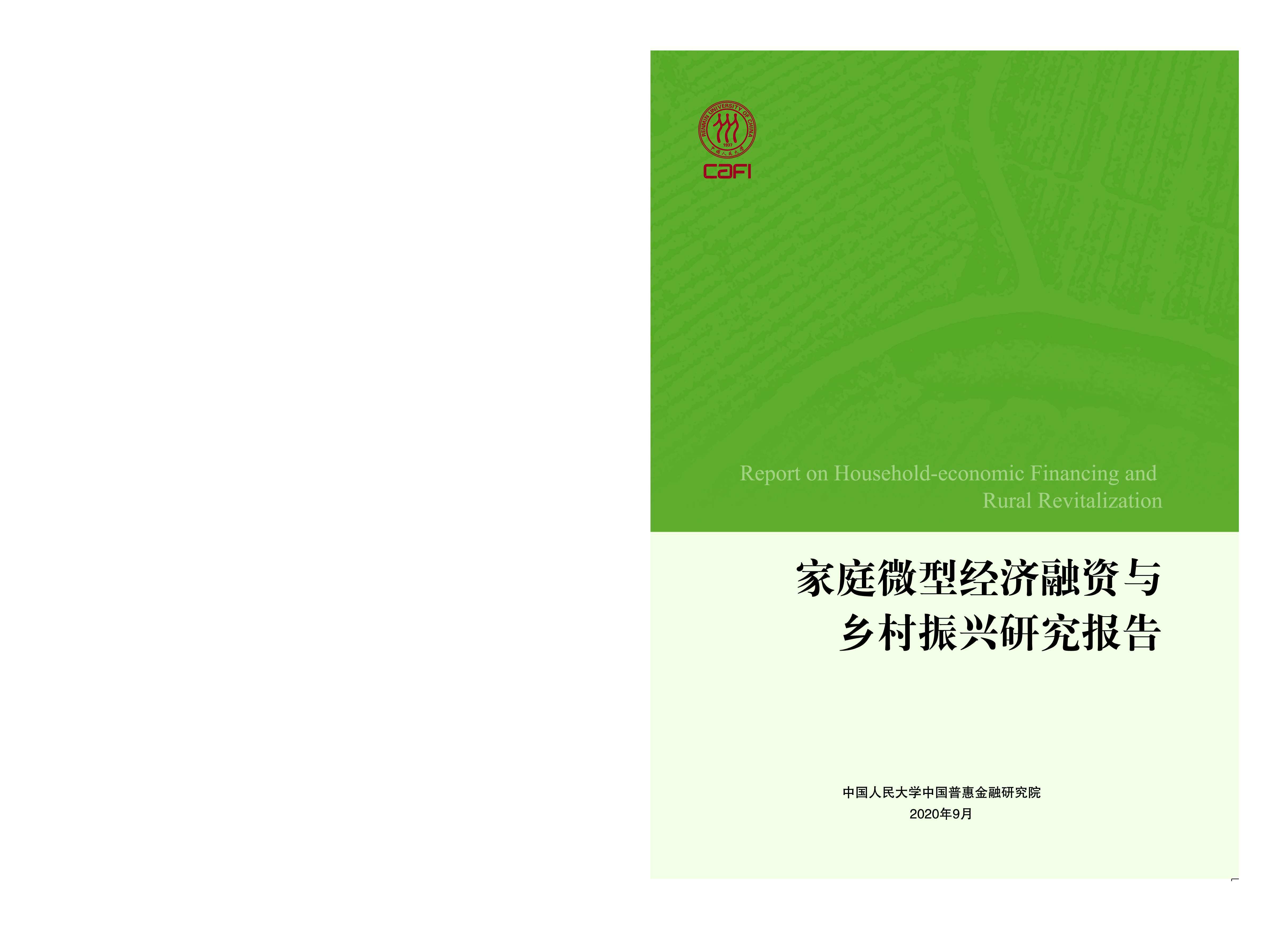 人民大学家庭微型经济融资与乡村振兴研究报告82页